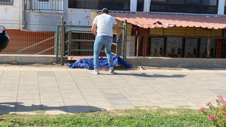 Sahilde yürüyenler korkunç manzarayla karşılaştı - Gündem