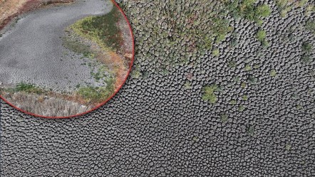 Şehir alarm veriyor! Görenler tanıyamadı, sıcaklar bir göleti daha kuruttu - Yaşam
