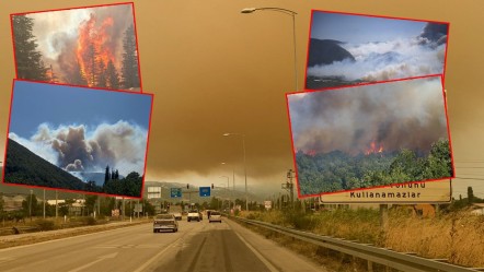 5 ilde ciğerlerimiz yanıyor! Büyük orman yangınının dumanı komşu kentin üzerini kapladı - Gündem