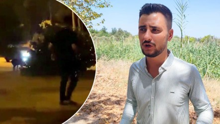 Kampüsü domuz sürüsü bastı, havlayarak kovaladı! İzleyenler ne olduğunu anlayamadı - Gündem
