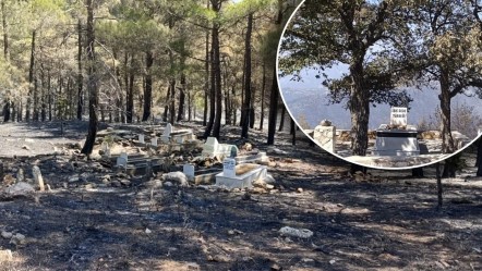 Yangın 3 gündür söndürülemiyor! Alevler sadece onun kabrini yutmadı - Gündem