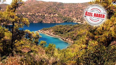 2028'e kadar bakımevi kurma yükümlülüğü başladı! Doğal sit alanları hayvanlar için yeni yuva olacak - Gündem