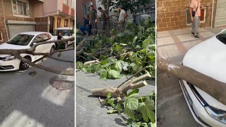 İstanbul'da fırtına! Ağaçlar devrildi, 2 kişi yaralandı - Gündem