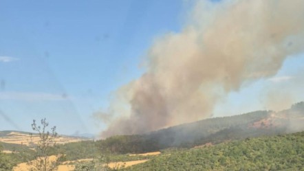 Tarihi yarımadada alevler yükseldi! Gelibolu'da orman yangınına müdahale ediliyor - 3. Sayfa