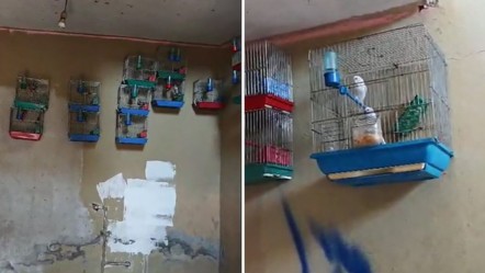 Yer: Adana! Evinden çıkanlar sonrası 151 bin lira ceza yedi - Gündem