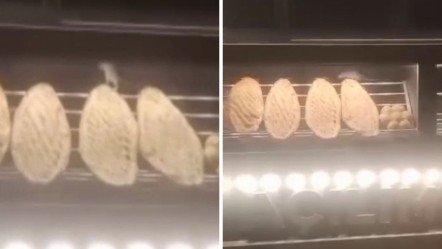 Elazığ'da mide bulandıran anlar! Fare ekmeklerin üzerinde gezerken görüntülendi - 3. Sayfa
