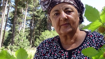 Hasat başladı! Ne gübre ne sulama… Vatandaş tek kuruş masraf etmeden topluyor - Ekonomi