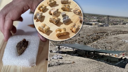 Binlerce yıllık tarih aydınlanıyor! Türkmen Karahöyük'te bulunanlar yabancı arkeologları şaşkına çevirdi - Kültür - Sanat