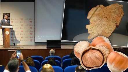 En eski fındık burada bulundu! Bu Hitit keşifleri dünyada sayılı... Alman profesör tek tek anlattı - Kültür - Sanat