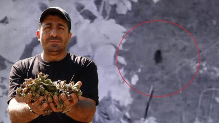 Fındıkları çalındı sandı! Gerçek bambaşka çıktı: Seneye daha fazla önlem alacağız - Yaşam