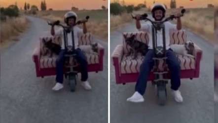 Scootera koltuk monte edip, köpekleri ile yolculuk yaptı! Renkli görüntüler kamerada - Gündem