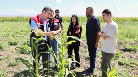 Sebze, meyve, tahıl... Bu bostan diğerlerinden daha farklı! Vatandaş daha ucuza satın alacak - Gündem