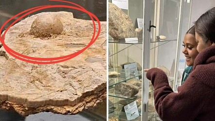 6 yıllık çalışma gerçeği ortaya çıkardı! Turist buldu, yetkililer doğruladı: Tam 100 milyon yıllık - Dünya