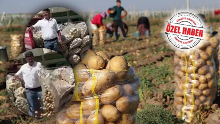 CHP'nin algı operasyonu bozuldu! Patates oyunu deşifre oldu - Ekonomi