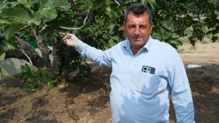 Dünyada sadece Bursa'da üretiliyor, 32 ülkeye ihraç ediliyor! Tarlada kilosu 150 lira - Ekonomi