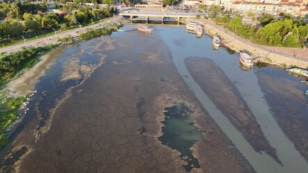 En düşük seviyeye ulaştı! Türkiye'nin ünlü tatlı su gölünde vahim tablo - Yaşam