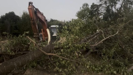 Erzincan'da feci olay! Devrilen ağacın altında kalan yaşlı adam öldü - 3. Sayfa