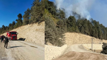 Karadeniz'de ciğerlerimiz yanıyor! Sinop'ta alevler yükseldi, ekipler müdahale ediyor - 3. Sayfa