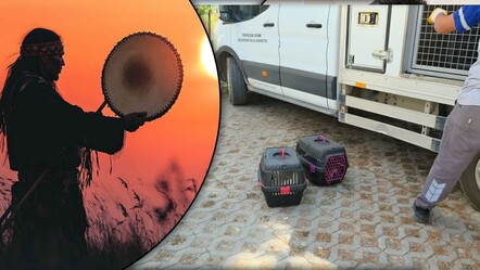 “Şamanizm tarikatı” ihbarı polisi harekete geçirdi: Evinde kesilmiş hayvanlar bulundu - Gündem