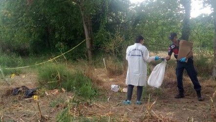Tarladan çıkan kafatası ve kemikler çiftçiyi şoka uğrattı! Düzce'deki esrarengiz olayın sırrı çözüldü - Gündem