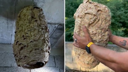 Uzun süredir kullanılmıyordu! İçeri giren mahalle sakinleri tavana asılı halde buldu - Yaşam