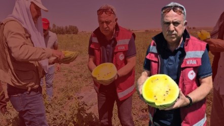 İran'dan Türkiye'ye getirdi! Dışı yeşil, içi sarı... Tadan ananasa benzetiyor - Ekonomi