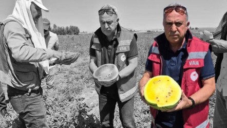 İran'dan Türkiye'ye getirdi! Dışı yeşil, içi sarı... Tadan ananasa benzetiyor - Ekonomi