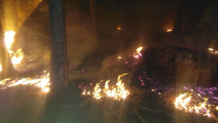 Muğla'da gece yarısı orman yangını! Karanlık alevlerle aydınlandı, mücadele sürüyor - 3. Sayfa