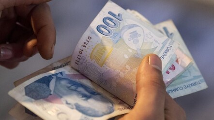 Hesaplara yatırıldı! Çiftçiye 86,5 milyon lira destek ödemesi yapıldı - Ekonomi