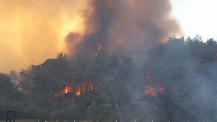 İzmir Menderes'te orman yangını söndürüldü mü? Havadan karadan müdahale var - Haberler
