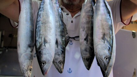 Bu sene az çıktı, fiyatlar uçtu! 150 gramlık olanı 350 TL’ye satılıyor - Ekonomi