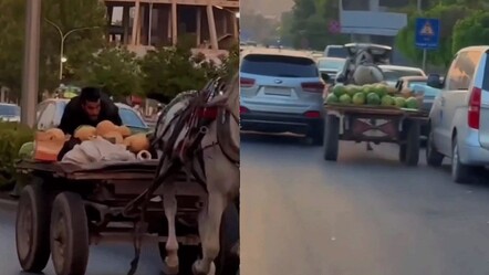 Komşuda trajikomik olay! Sahibinden kaçan at sırtındaki karpuz yüküyle trafiği birbirine kattı - Dünya