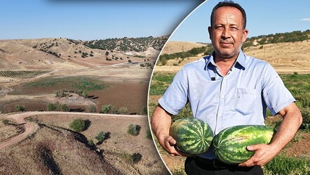 Kuruyan göl karpuz tarlasına döndü, köylüler hayret etti: Kimse ekmedi, kendiliğinden ortaya çıktılar - Yaşam