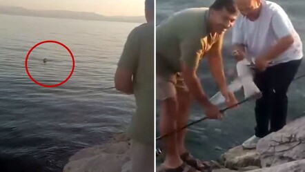 Oltaya balık yerine takılan canlı şoke etti - Ekonomi