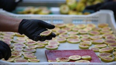 Hem sağlıklı hem lezzetli! Cips olarak tüketiliyor, kış aylarının gözdesi haline geldi - Yaşam