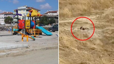 Güpegündüz fuhuş skandalı! Çocuk parkının yanında iğrenç görüntüler, vatandaşlar isyan etti - Gündem