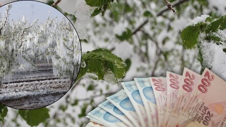 Zirai don üreticiyi perişan etmişti, müjdeli haber geldi! 420 bin üreticiye 23,4 milyar TL destek ödemesi geliyor - Ekonomi
