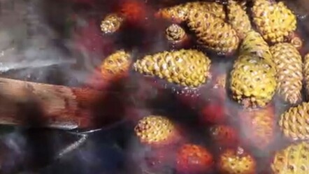 7 saatte kaynatılan şifa şurubu! Sigara kullananlara tavsiye ediyor - Sağlık