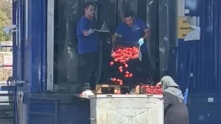 Kasalarca domatesi çöpe döktüler! Görüntüler tepki çekmişti, Bakanlıktan açıklama - Ekonomi