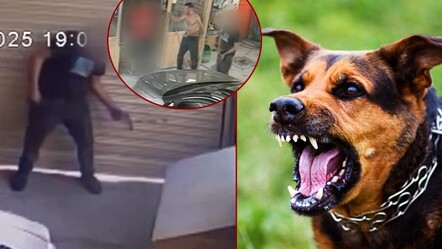 Köpek kavgası kanlı bitti! Silahını çekip vurdu, o anlar kameraya yansıdı - 3. Sayfa