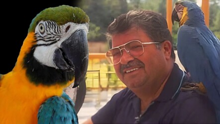 Turgut Özal'ın kaybolan papağanından sevindiren haber! 3 gün sonra bulundu - Yaşam