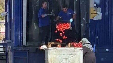 Vatandaşa dağıtılamaz mıydı? Ünlü zincir markette skandal! Kasa kasa domatesi çöpe attılar - Ekonomi