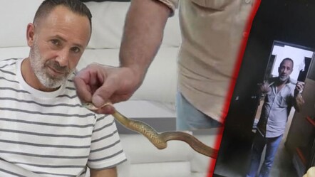 Yürek hoplatan anlar! 2 metrelik yılanla dost oldu, ‘kanka’ deyip boynuna doladı - Yaşam