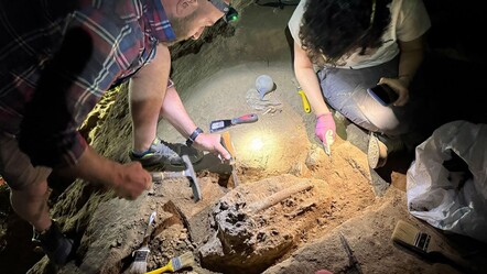 1.8 milyon yıllık insan çenesi bulundu! - Kültür - Sanat