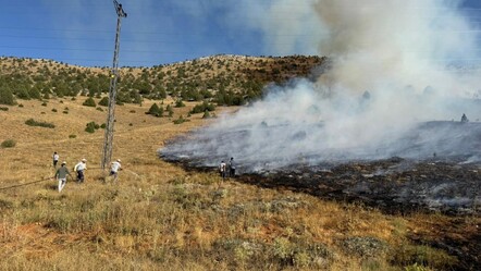 Adana Tufanbeyli'de orman yangını - 3. Sayfa