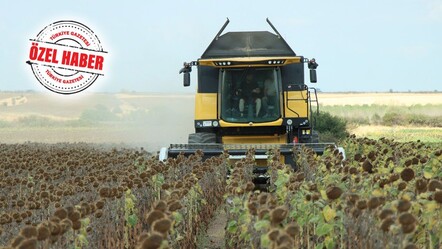 Ayçiçeği yağında paniğe gerek yok! Fiyatlar artacak denilerek fırsatçıların ekmeğine yağ sürmeyelim - Ekonomi