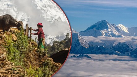 Bulutların üstünde yaşayan insanlar... Himalayalar'da hayatta kalmanın sırrı! Gen uzmanlarından ilginç araştırma - Yaşam