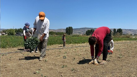 Toprağı kuruyan çiftçiden kötü haber geldi! Üretim durma noktasında - Gündem