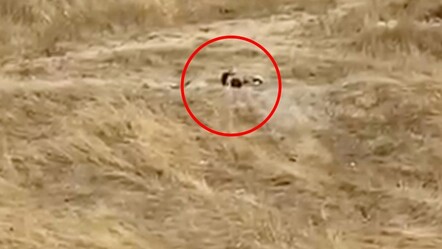 Boş arazide uygunsuz hareketler sergilemişlerdi! 2 genç gözaltına alındı - 3. Sayfa