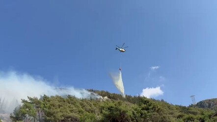 Hatay'da orman yangını! Havadan ve karadan müdahale sürüyor - Gündem